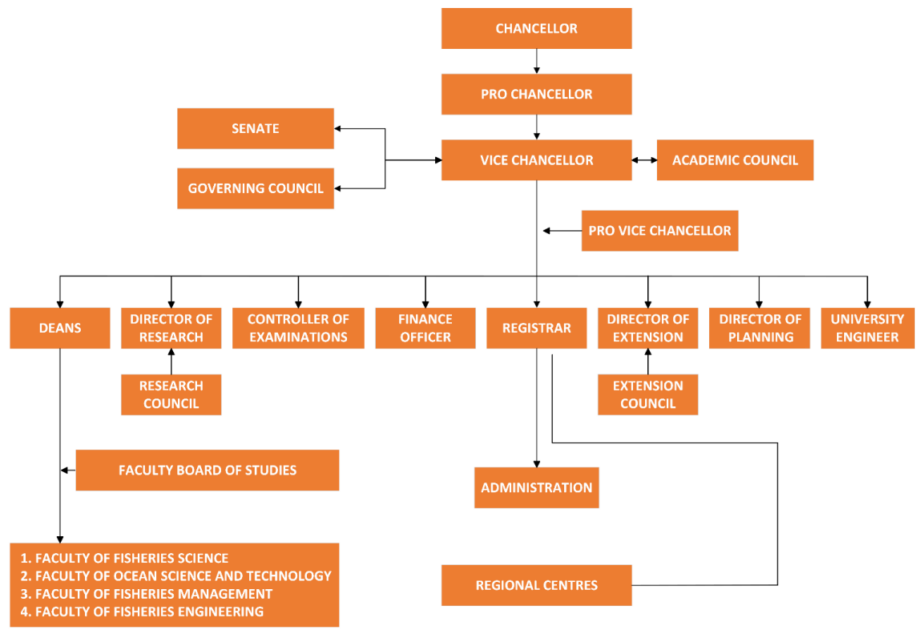 Organization-Chart